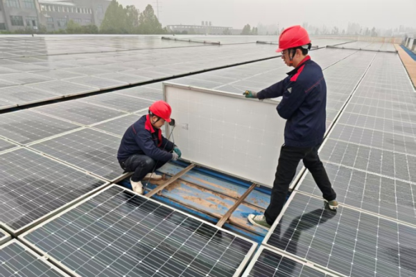 1772522950249478OEfe.png 图片 3.png